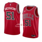Maglia Chicago Bulls Ryan Arcidiacono Icon 2018 Rosso