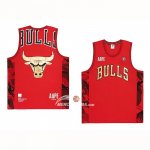 Maglia Chicago Bulls x Aape Rosso
