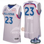 Maglia NBA James All Star Gris 2017